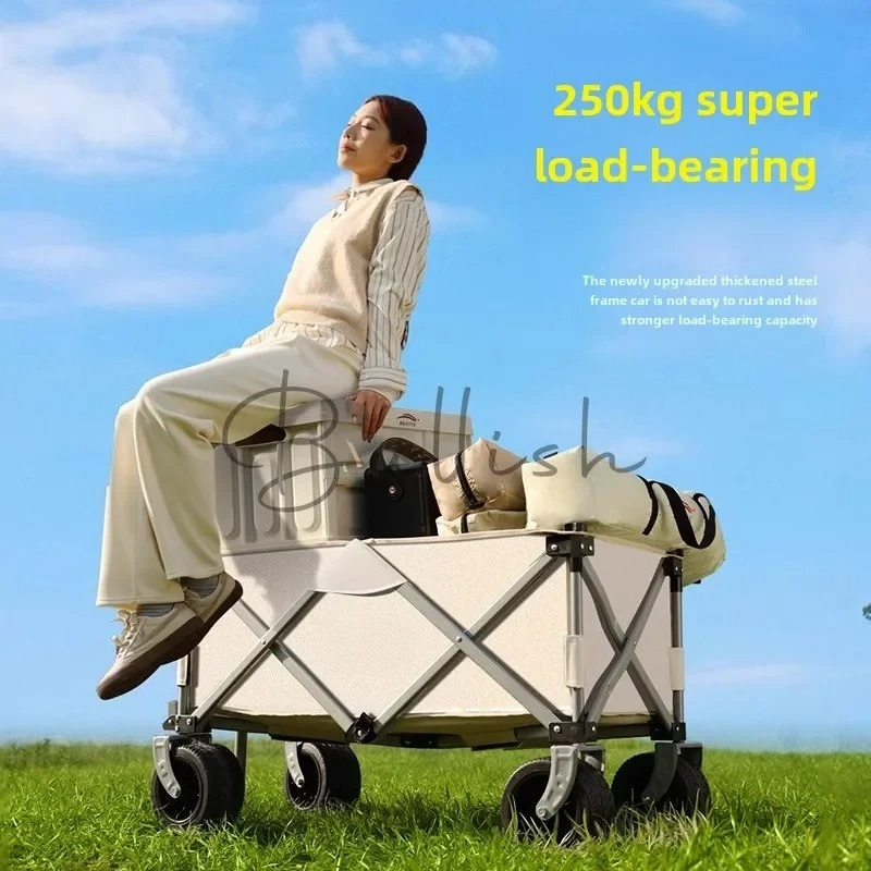 Troli berkemah lipat untuk lua - Outdoor Camping Trolley ulasan dan harga