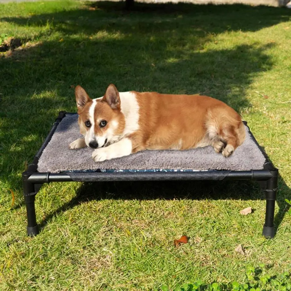 Tempat Tidur Anjing Terangkat  - Outdoor Camping Dog Bed ulasan dan harga